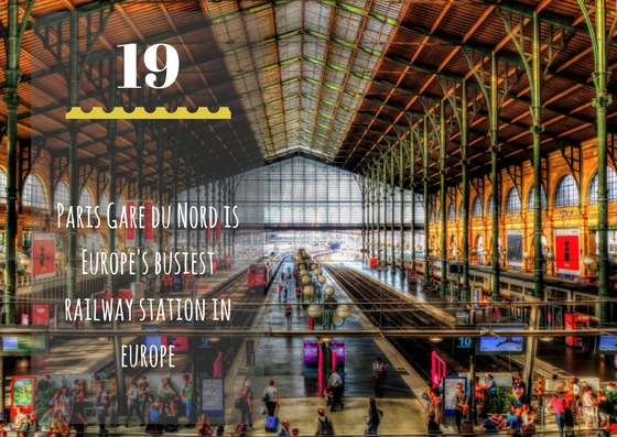 19